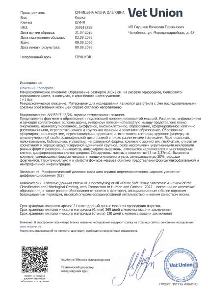 359612255_375357093_0_СИНИЦЫНА.jpg