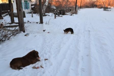 DSC_2964.jpg
