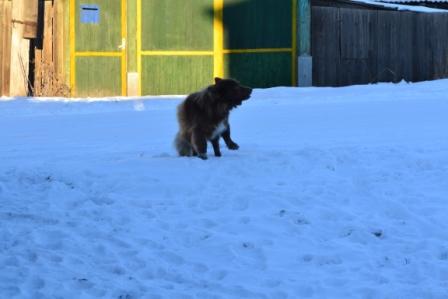 DSC_2947.JPG