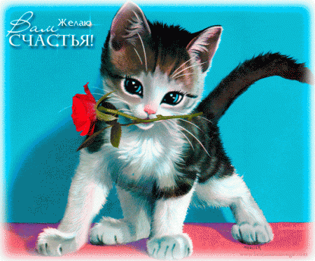 544.gif