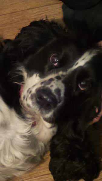 20150205_195431.jpg