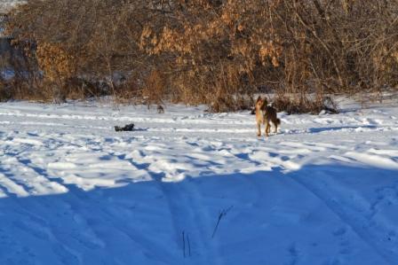 DSC_2987.JPG
