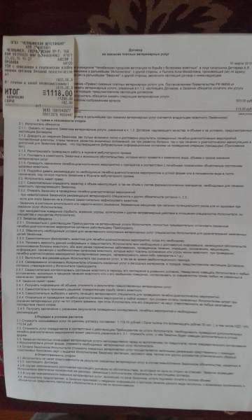 20150403_180636.jpg