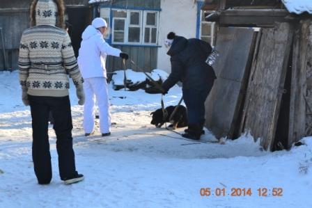 DSC_3069.JPG