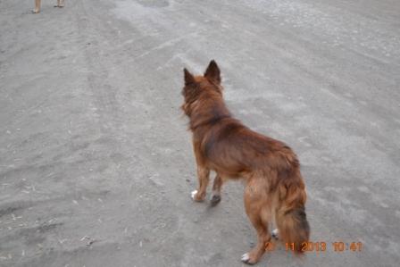 DSC_2605.JPG