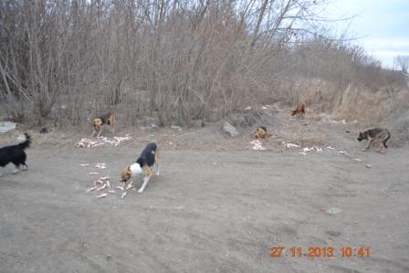DSC_2606.JPG