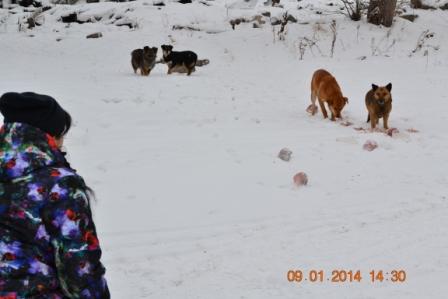 DSC_3097.JPG