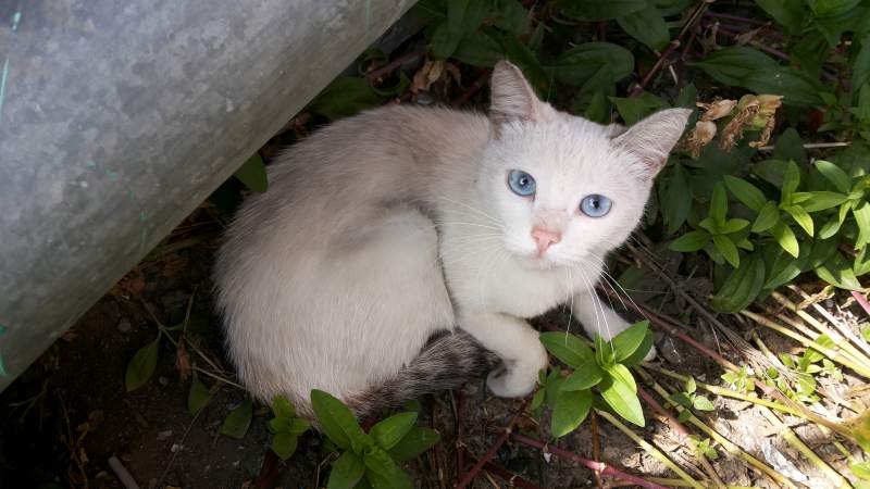 20150727_154331[1].jpg