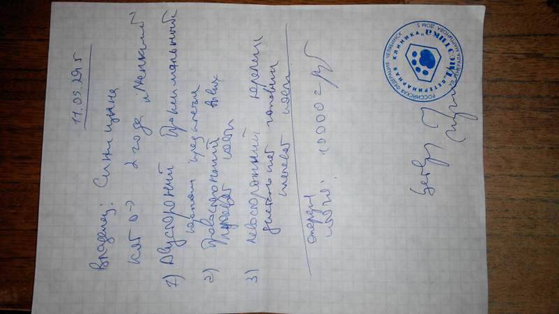 20150911200307.jpg