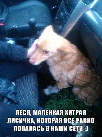 k4WX59LgBu0.jpg