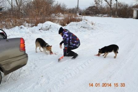 DSC_3134.JPG