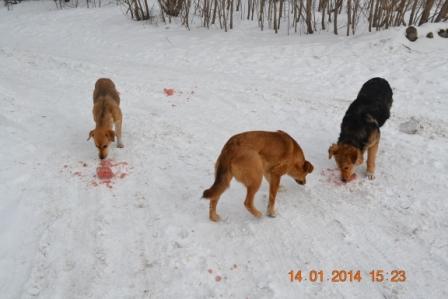 DSC_3132.JPG