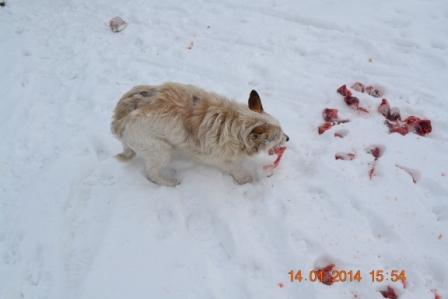 DSC_3136.JPG