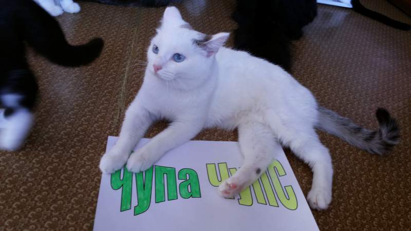 20151031_111447.jpg