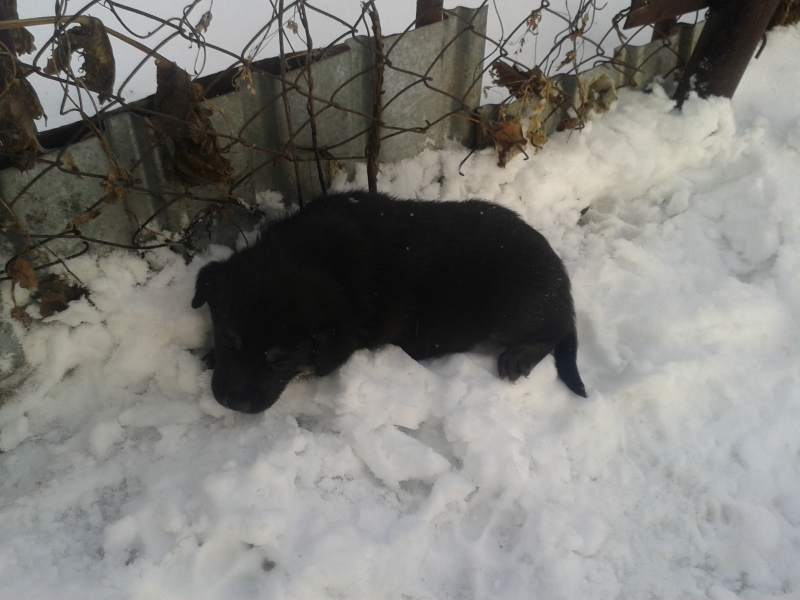 20151129_140038.jpg