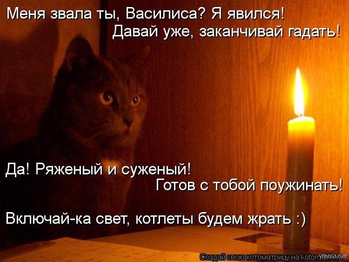 image (3).jpg