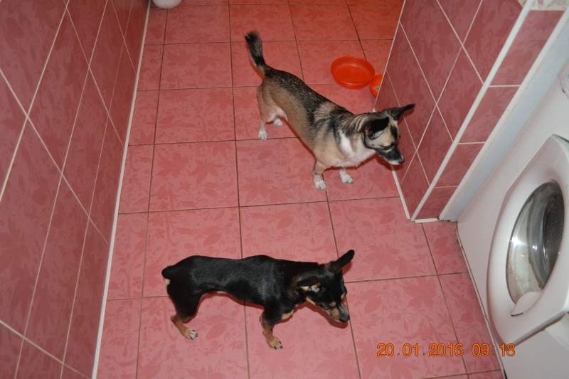 DSC_8691.JPG