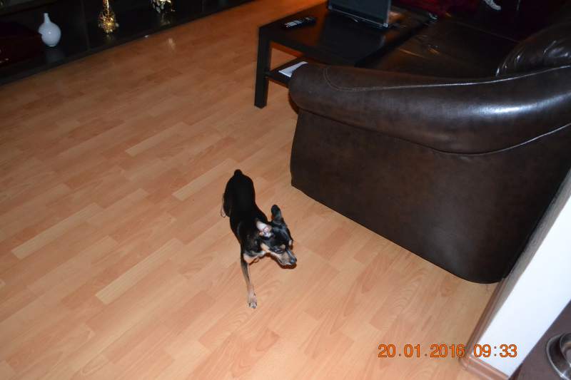 DSC_8693.JPG