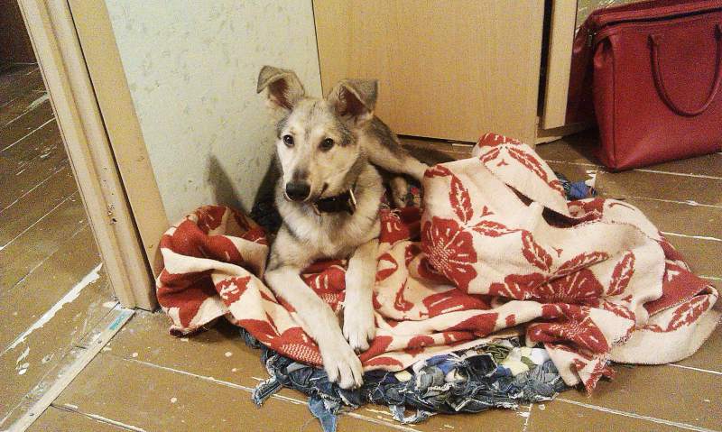 IMAG0255.jpg