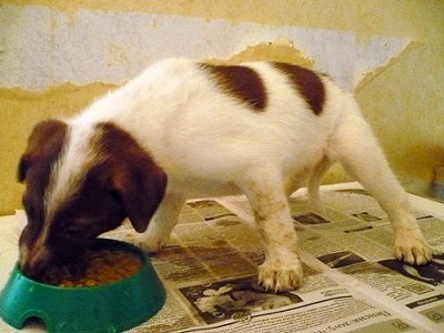 Мальчик 1.JPG