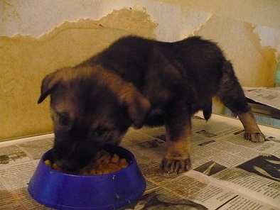 Мальчик 2.JPG