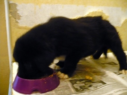 Мальчик 3.JPG