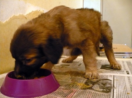 Мальчик 4.jpg