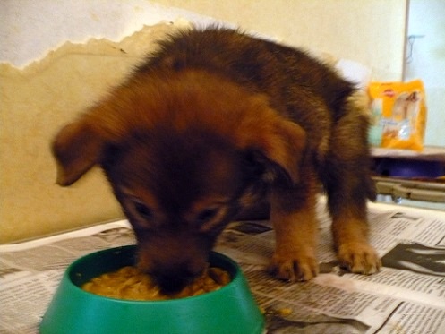 Мальчик 5.JPG