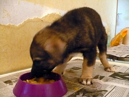 Мальчик 6.JPG