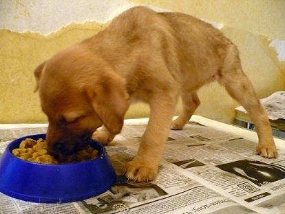 Девочка 7.JPG