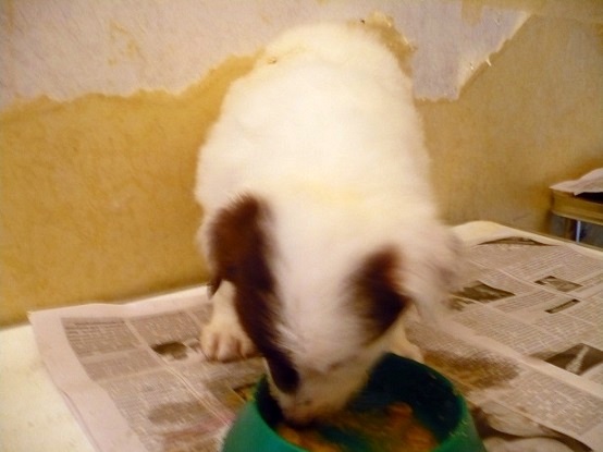 Девочка 8.JPG