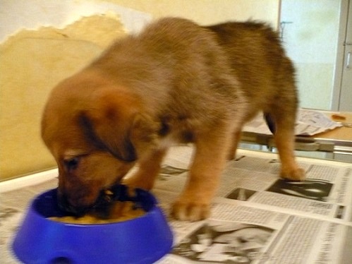 Девочка 9.JPG