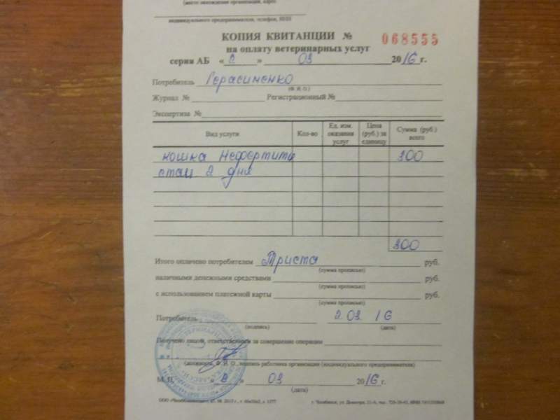 нефертити чек.jpg