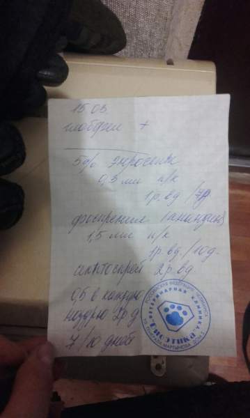 kpH813UtnuU.jpg