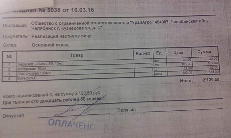 L6H-LoXCgqI.jpg