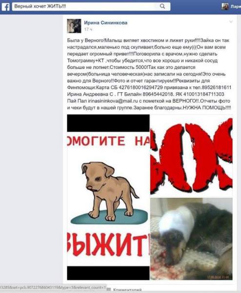 верный жить.jpg