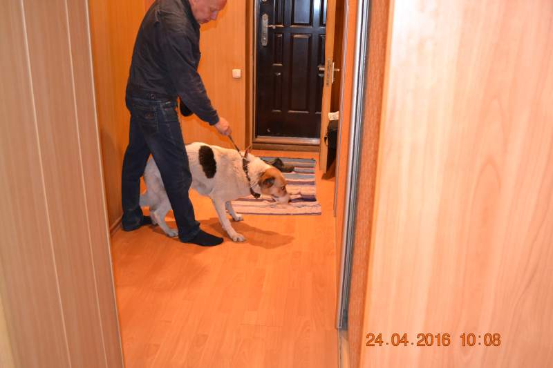 DSC_9227.JPG