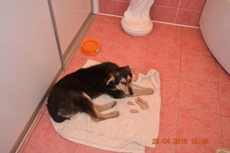 DSC_9229.JPG