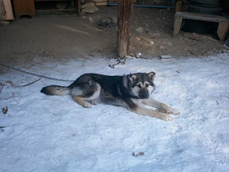 100_4968.JPG