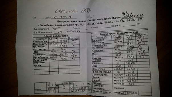 анализы почки.jpg