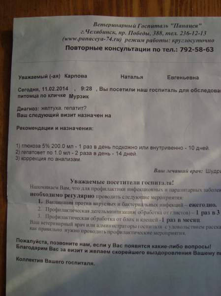 рекоменд.JPG