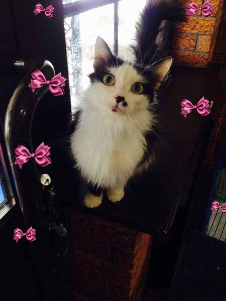 HeGhPKaqsz4 копия.jpg