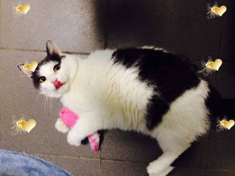 qBw9aaPN1Pg копия.jpg