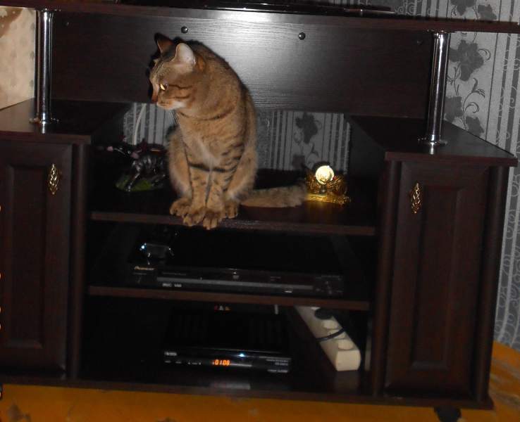 DSCN0150.JPG