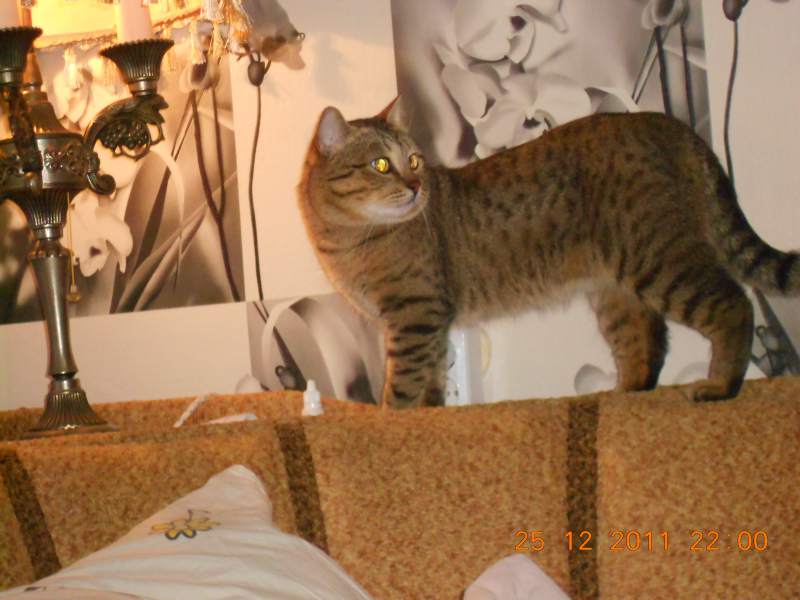 DSCN0161.JPG