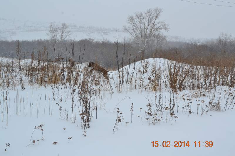 DSC_3354.JPG