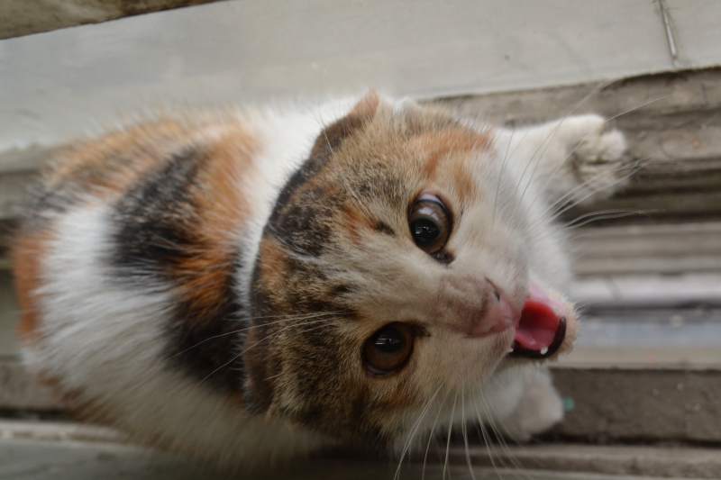 DSC_3324.JPG
