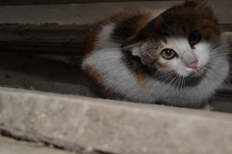 DSC_3323.JPG