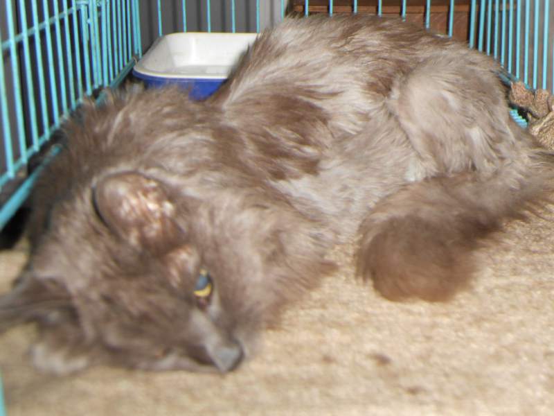QUcsYOft1RM.jpg