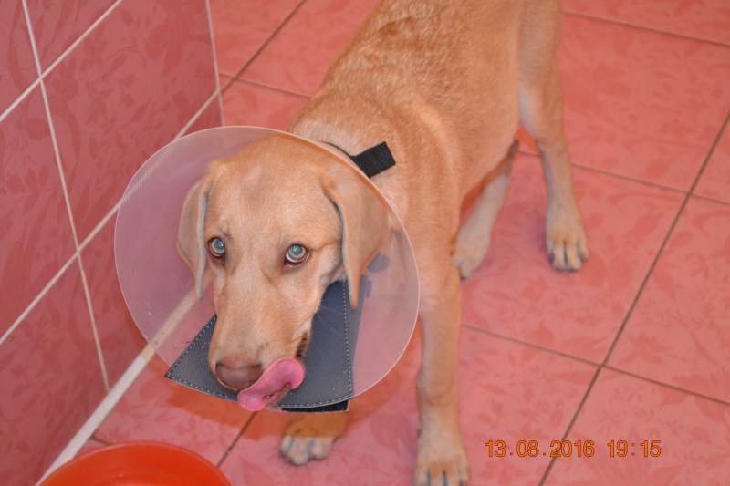 DSC_9487.JPG